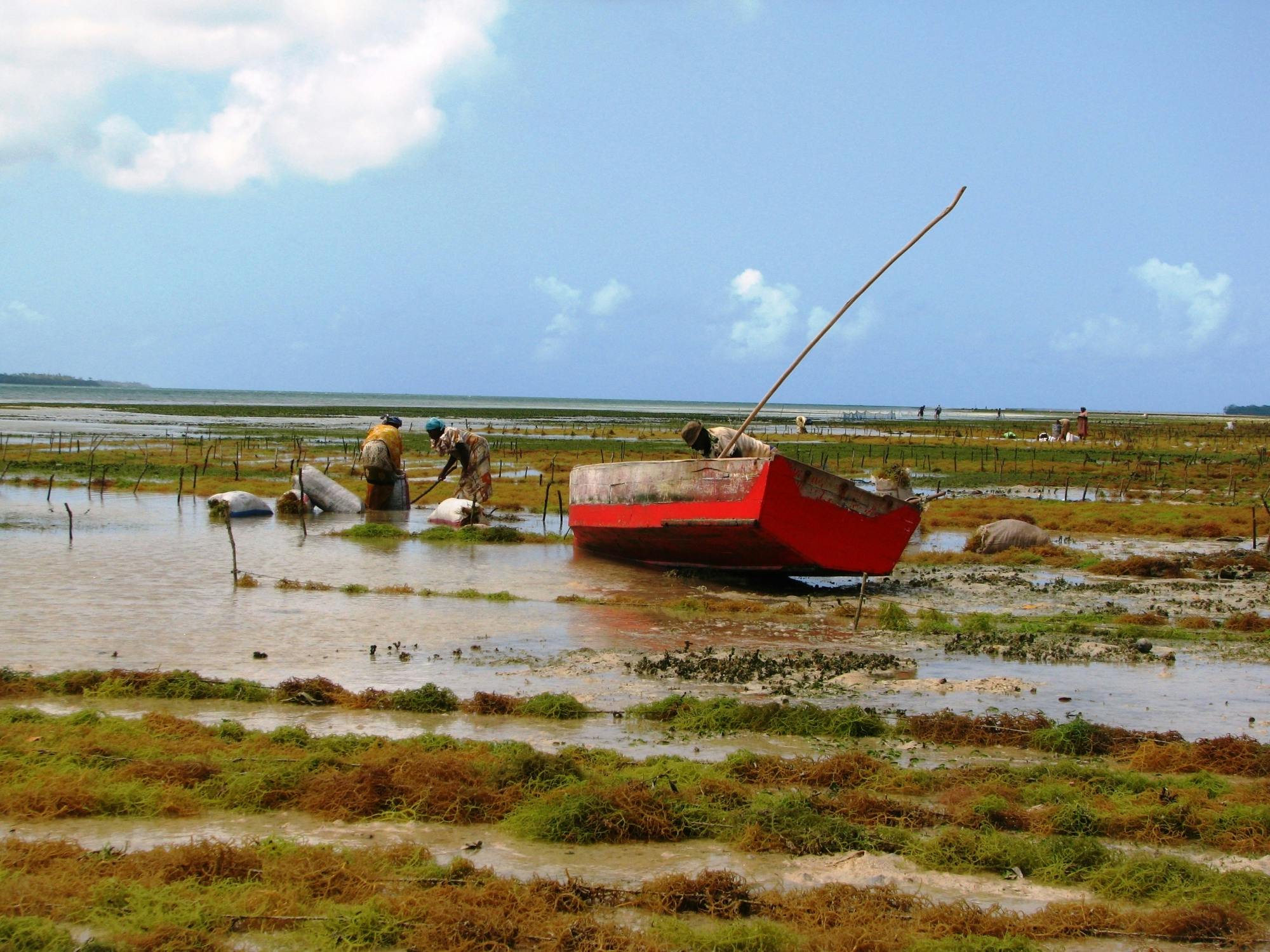 Zanzibar Uzi Island, cave and village adventure private tour