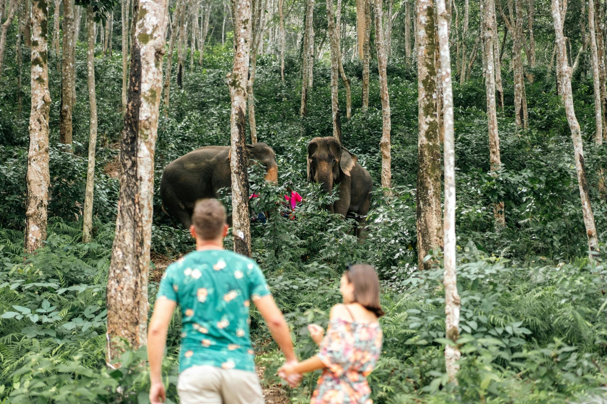 Phuket half-day elephant conservation and feeding experience