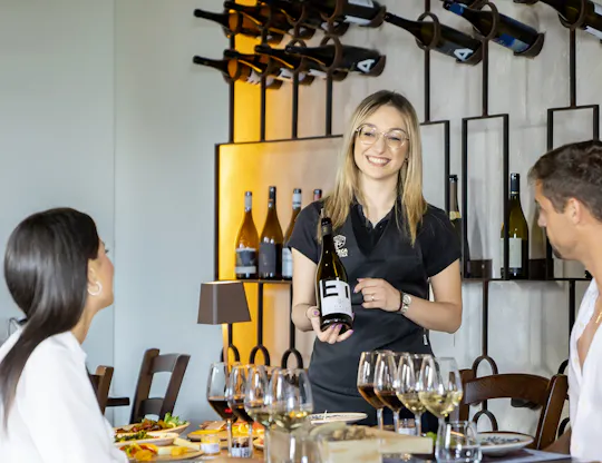 Etna and wine guided tour from Syracuse