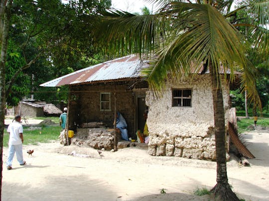 Privétour naar een specerijenboerderij op Zanzibar