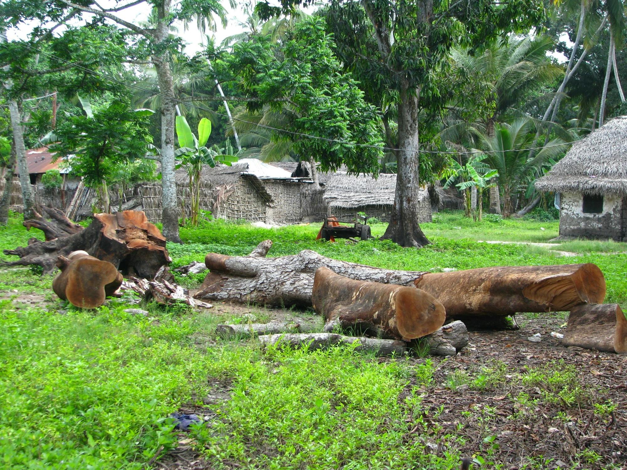 Zanzibar spice farm, cave and village adventure private tour