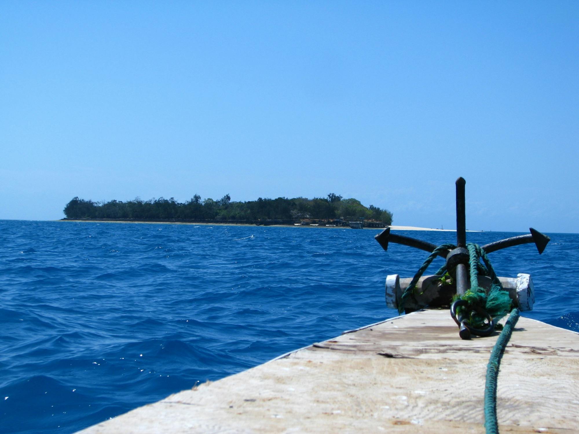 Zanzibar Jozani Forest and Prison Island private tour