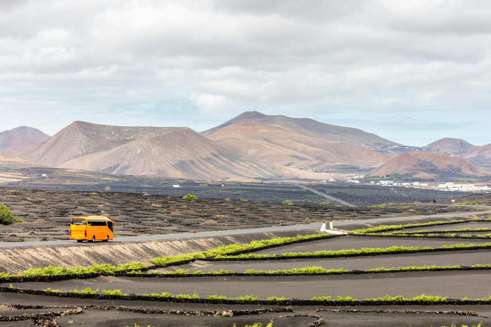 Lanzarote Tour with Timanfaya National Park and Jameos del Agua