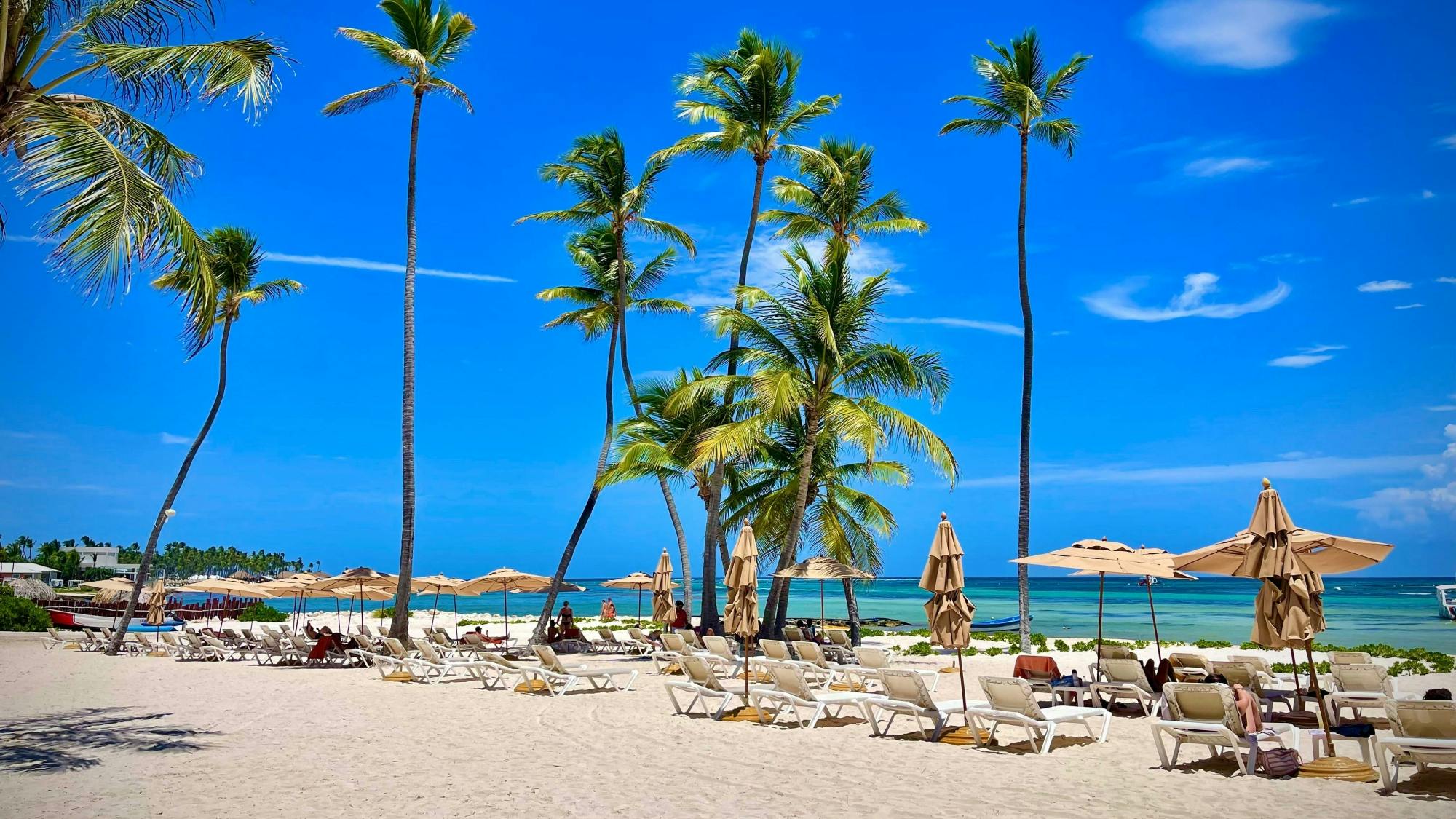 4x4 adventure - Art & Forest Way Half Day plus Playa Blanca beach club