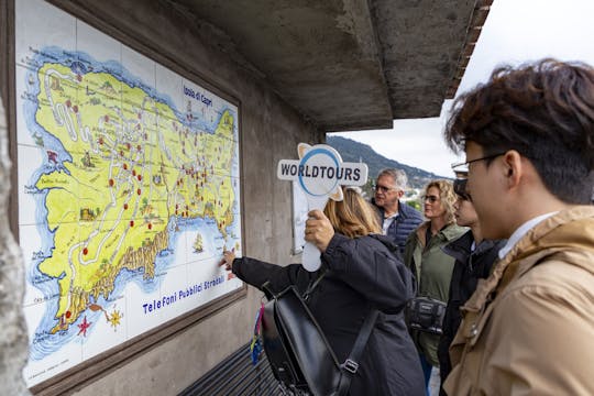 Full-day shared tour of Capri Island and Pompeii ruins from Naples