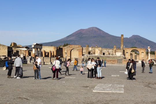 Pompeii shared tour from Naples