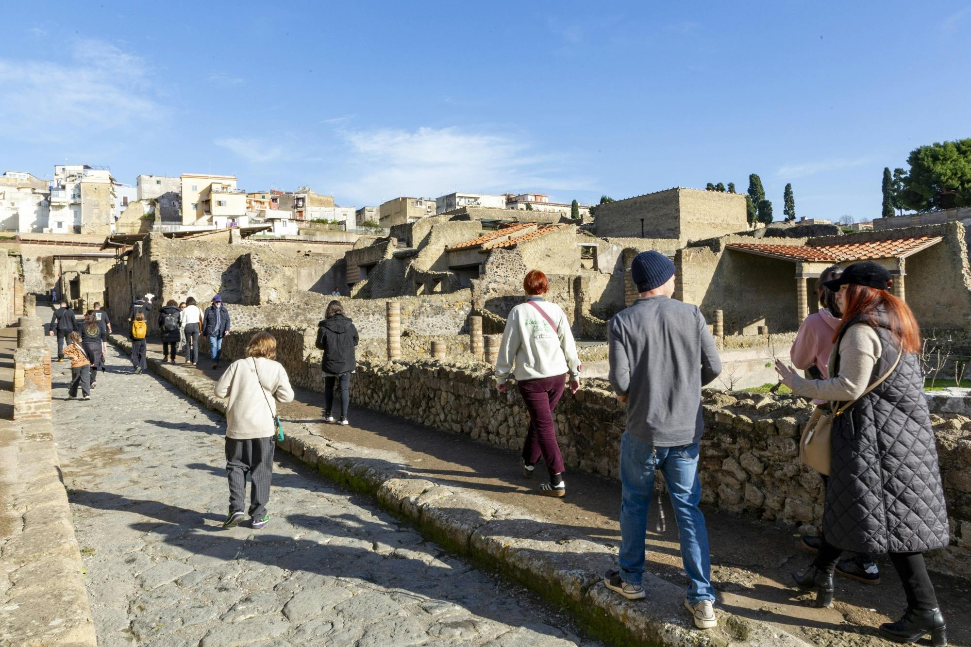 Pompeii and Herculaneum shared tour from Naples