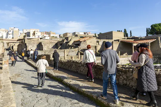 Gedeelde tour vanaf Pompeii en Herculaneum vanuit Napels
