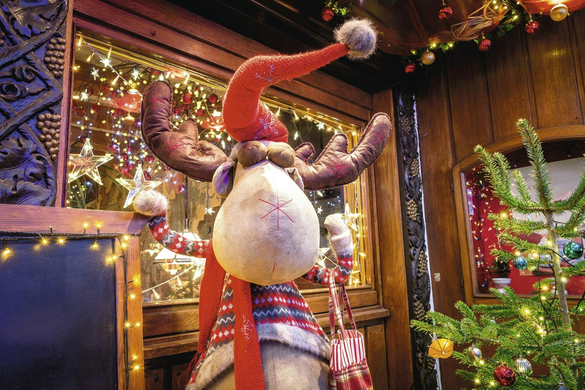 Christmas Delights in Las Palmas de Gran Canaria