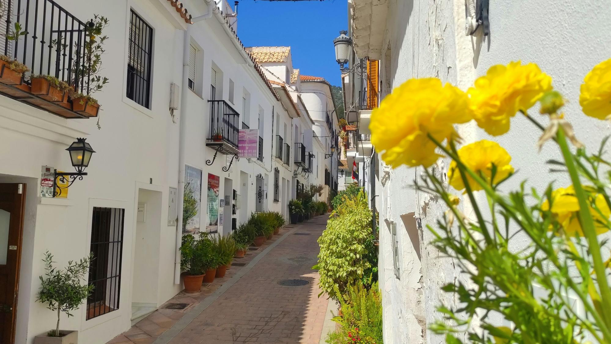 Market, Colomares Castle and village charm