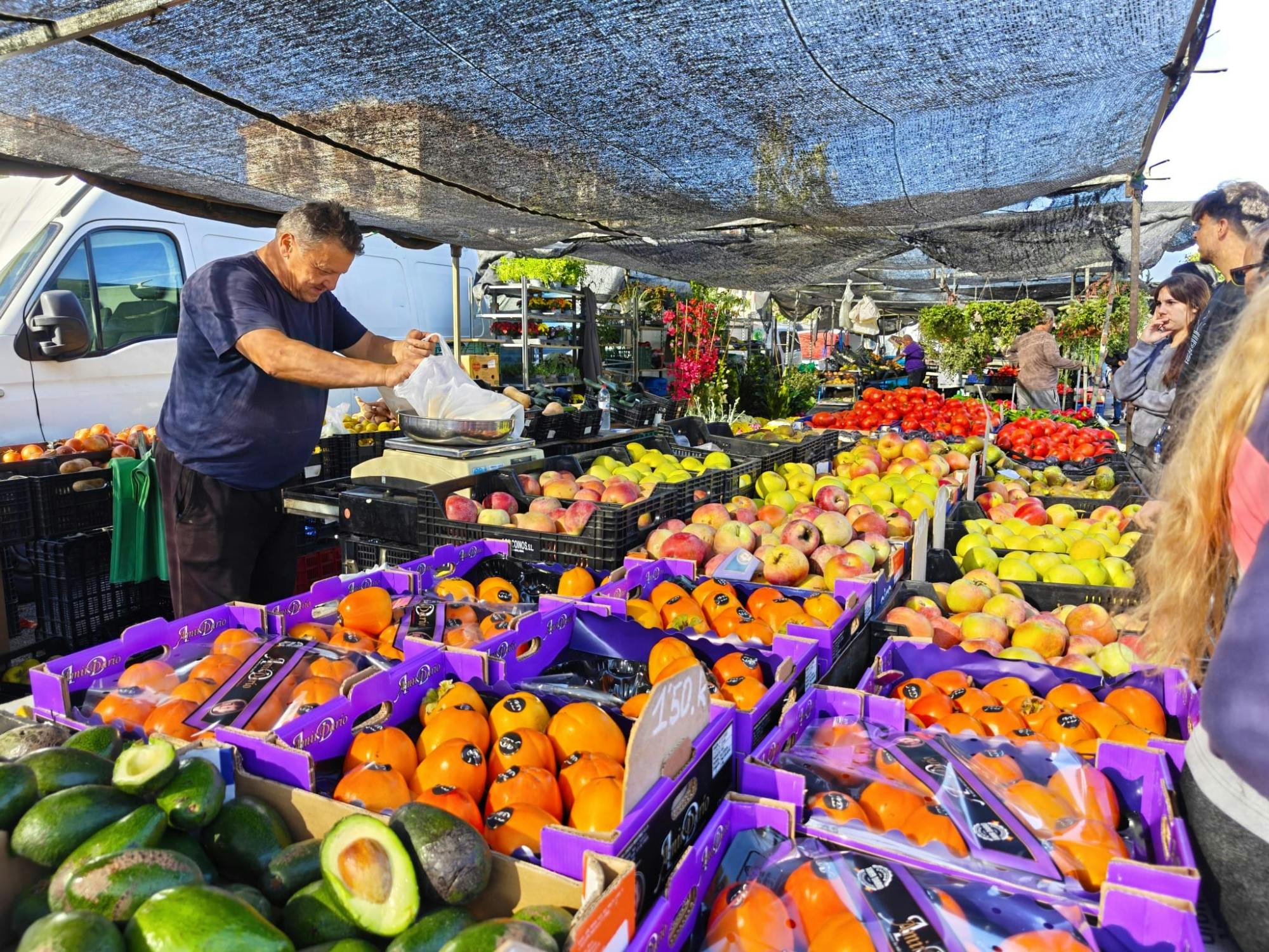 Market, Colomares Castle and village charm