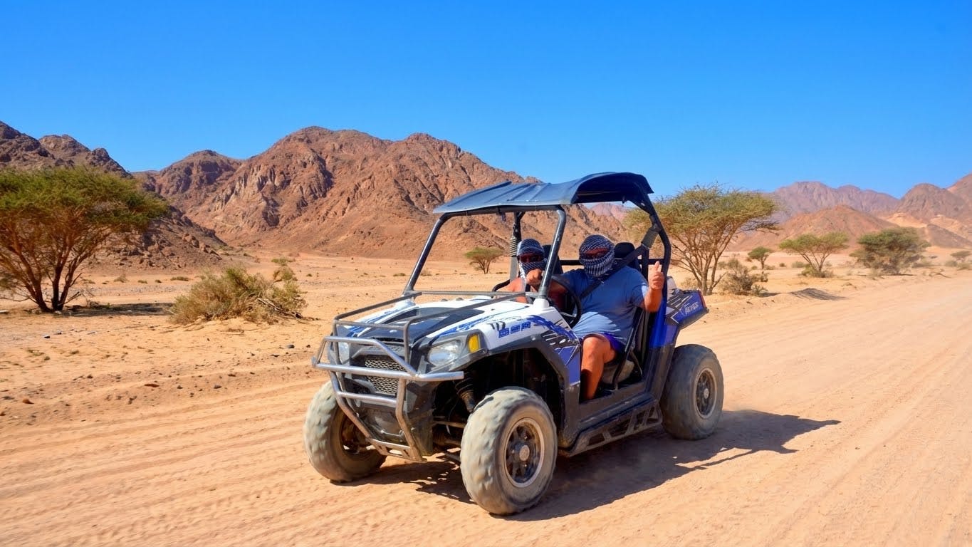 Morning Sand Buggy Experience Plus Bedouin Tea Tasting in Sharm Desert