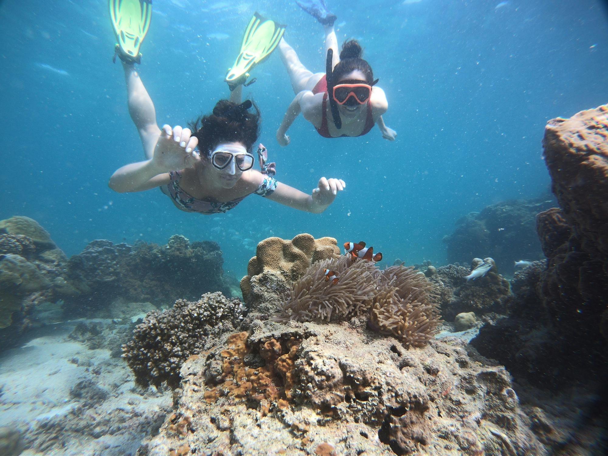 Activity Image