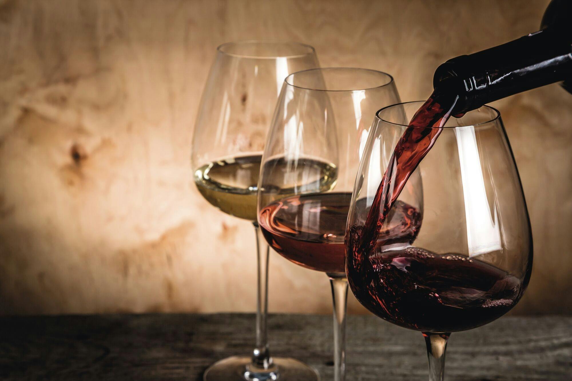 Wine Tasting at Folio Restaurant in Protaras