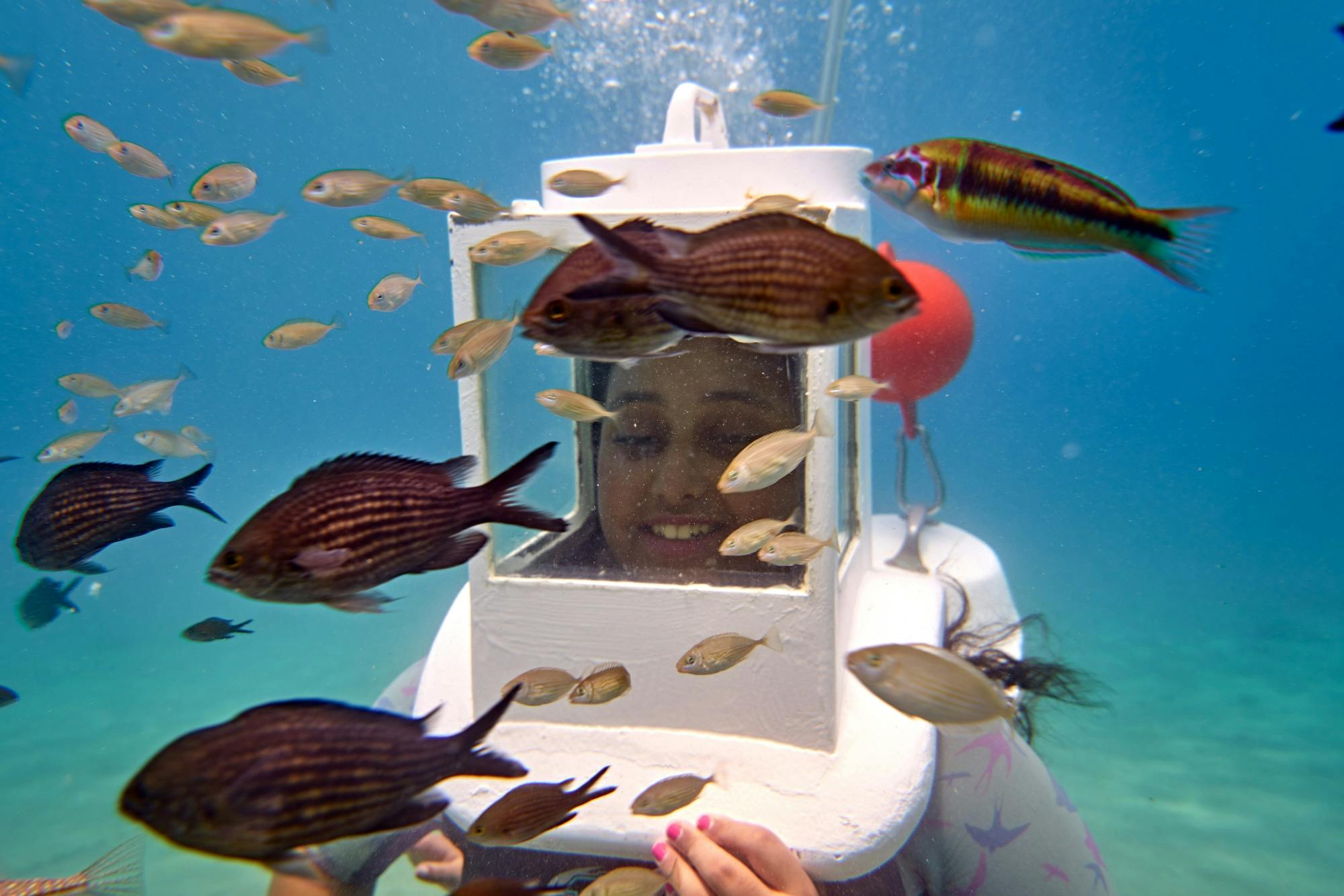 Cyprus underwater walking or scooter small-group tour