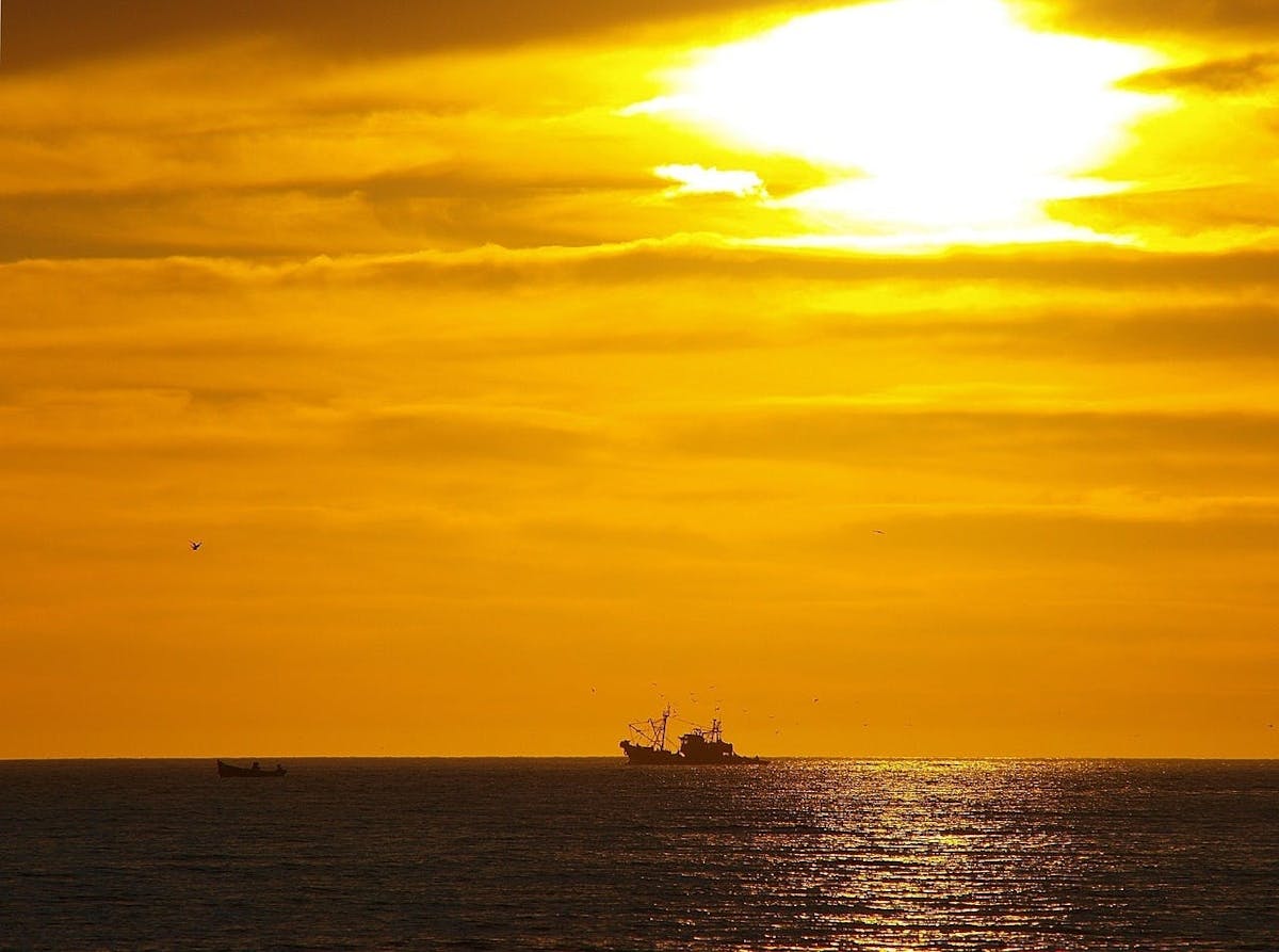 Tour delle dune di Timlaline al tramonto con visita al canyon e barbecue