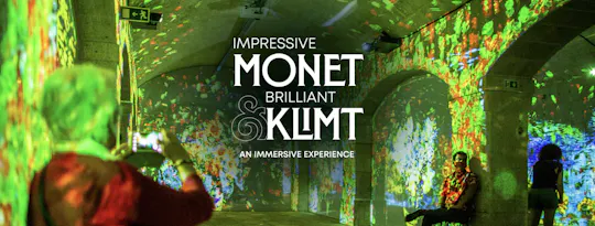 Billet pour l'expérience immersive Monet & Klimt à Porto