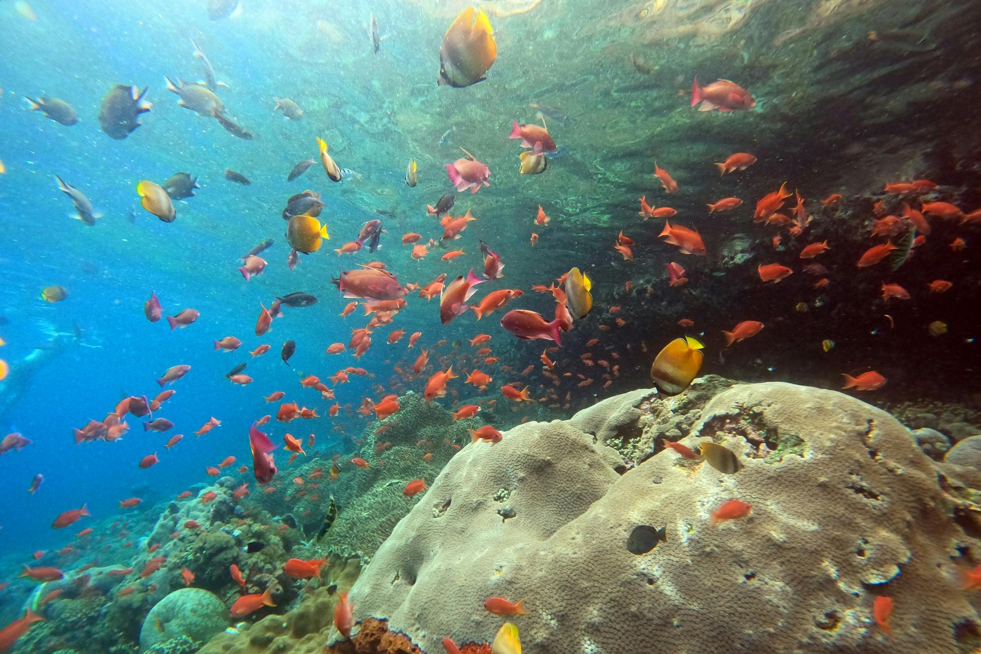 Superior Boat Charter 4 Hours