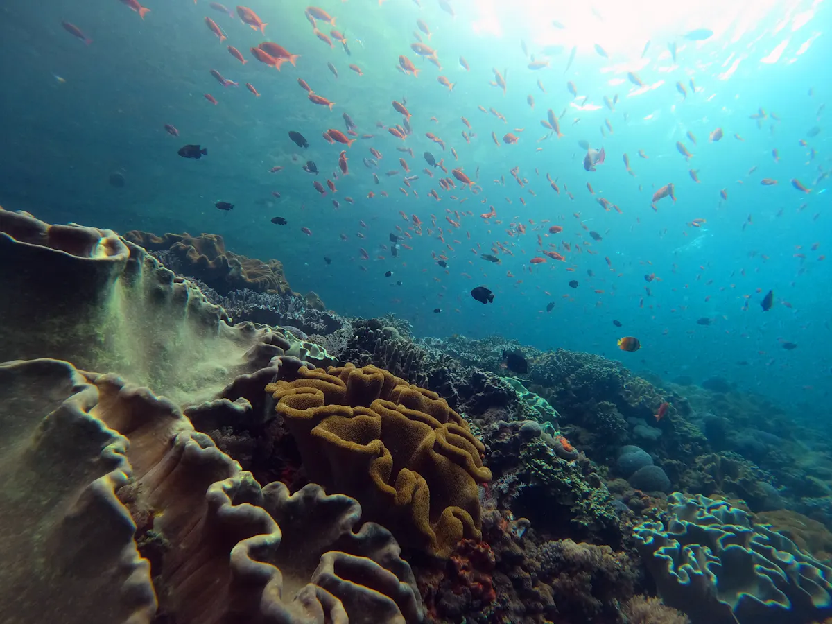 Superior Boat Charter 4 Hours