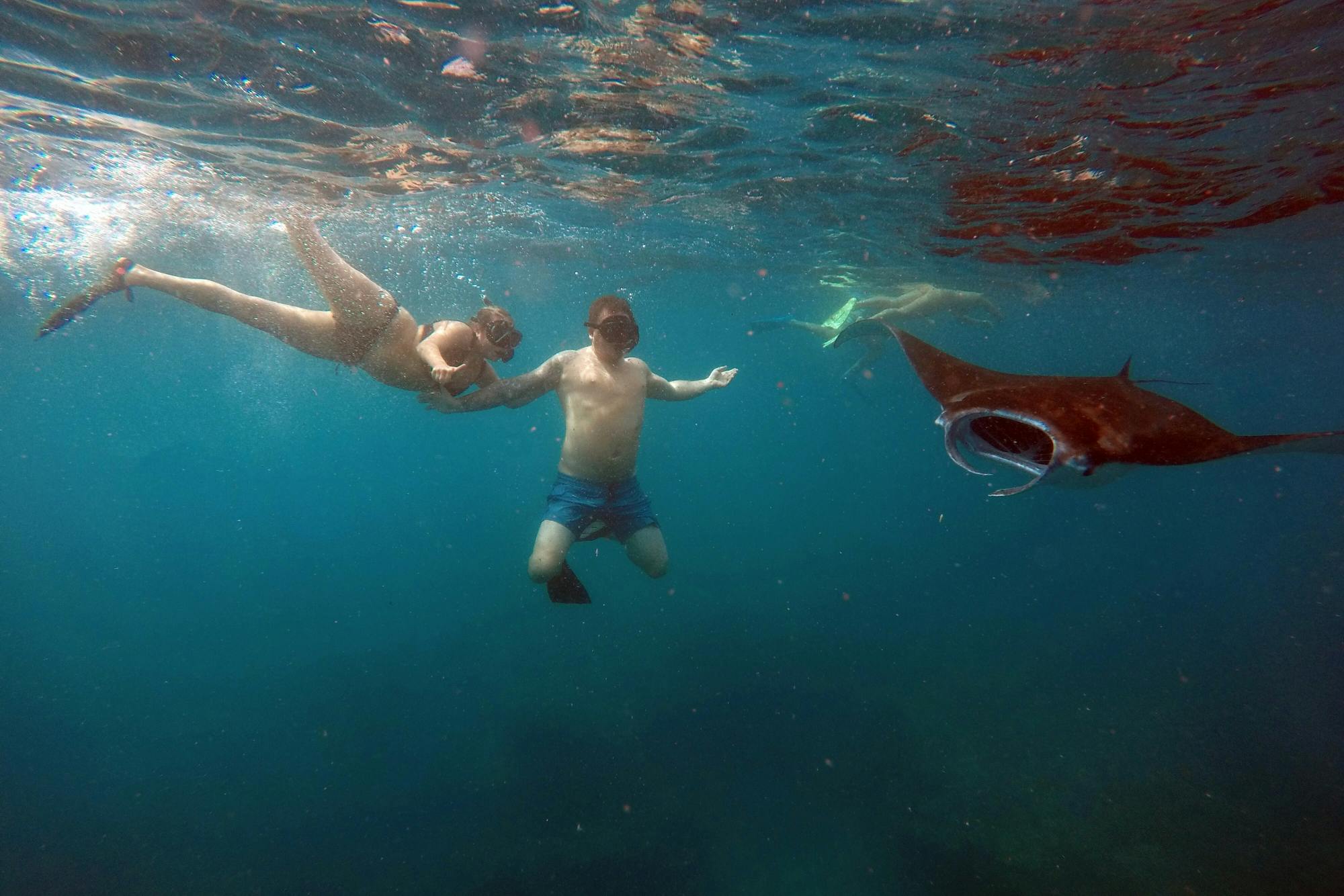 Superior Boat Charter 4 Hours