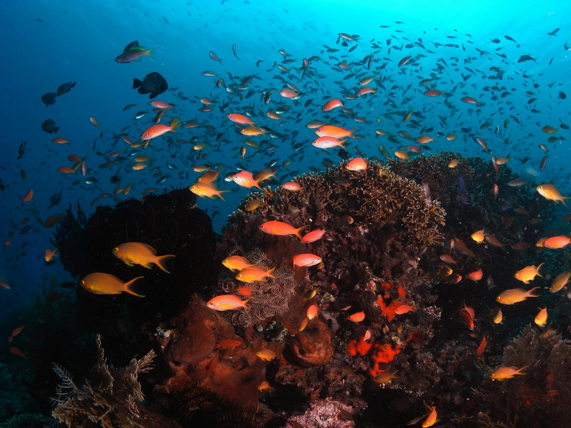 Superior Boat Charter 4 Hours