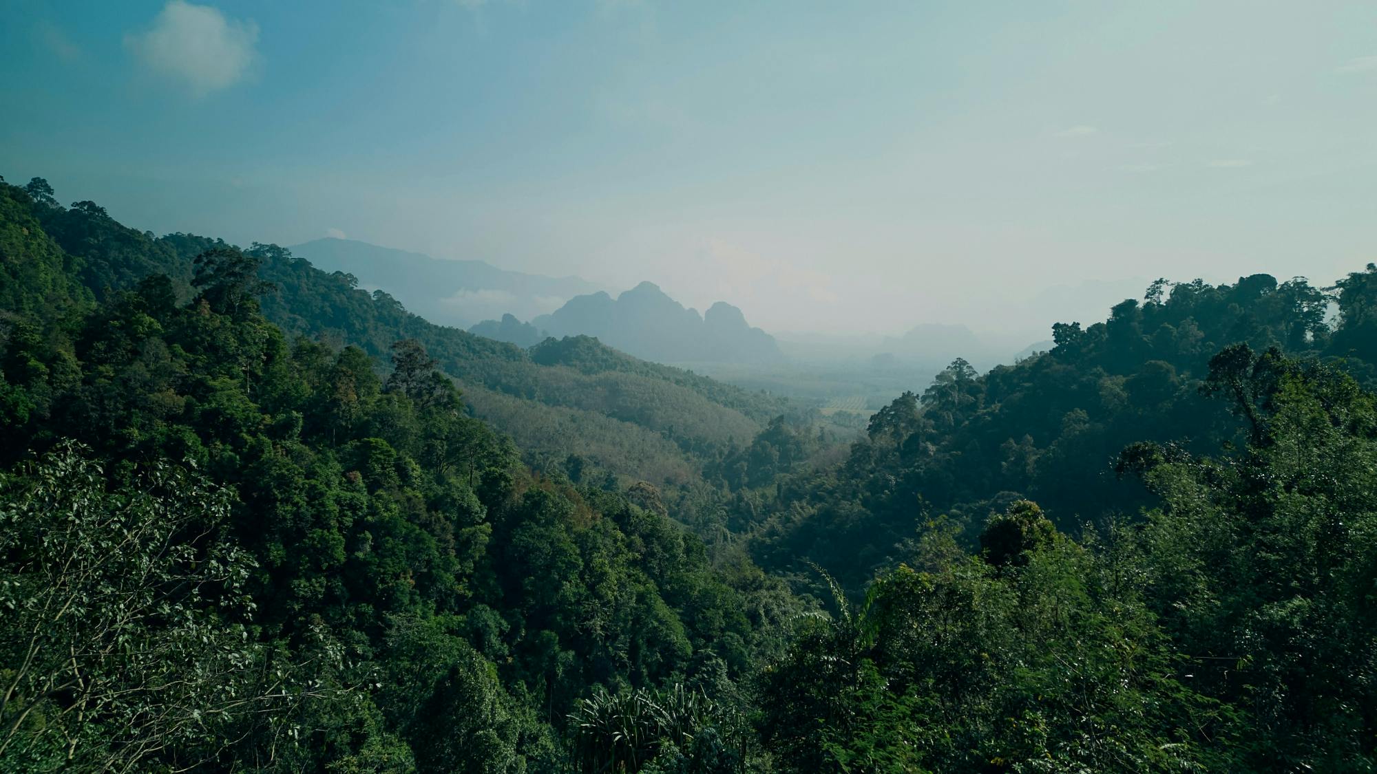 Full-day Khao Sok adventure tour from Khao Lak with raft ride