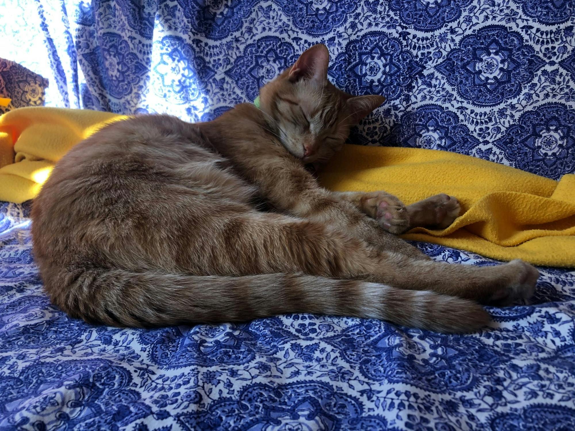 Calendar test for SI