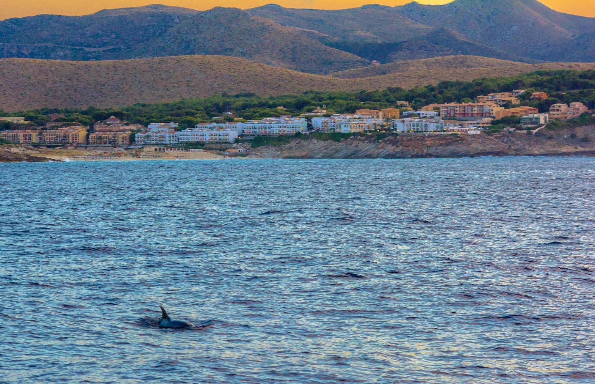 Majorca sunset cruise
