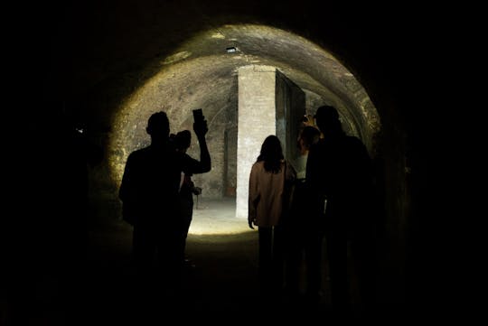 Viennese underground guided walking tour