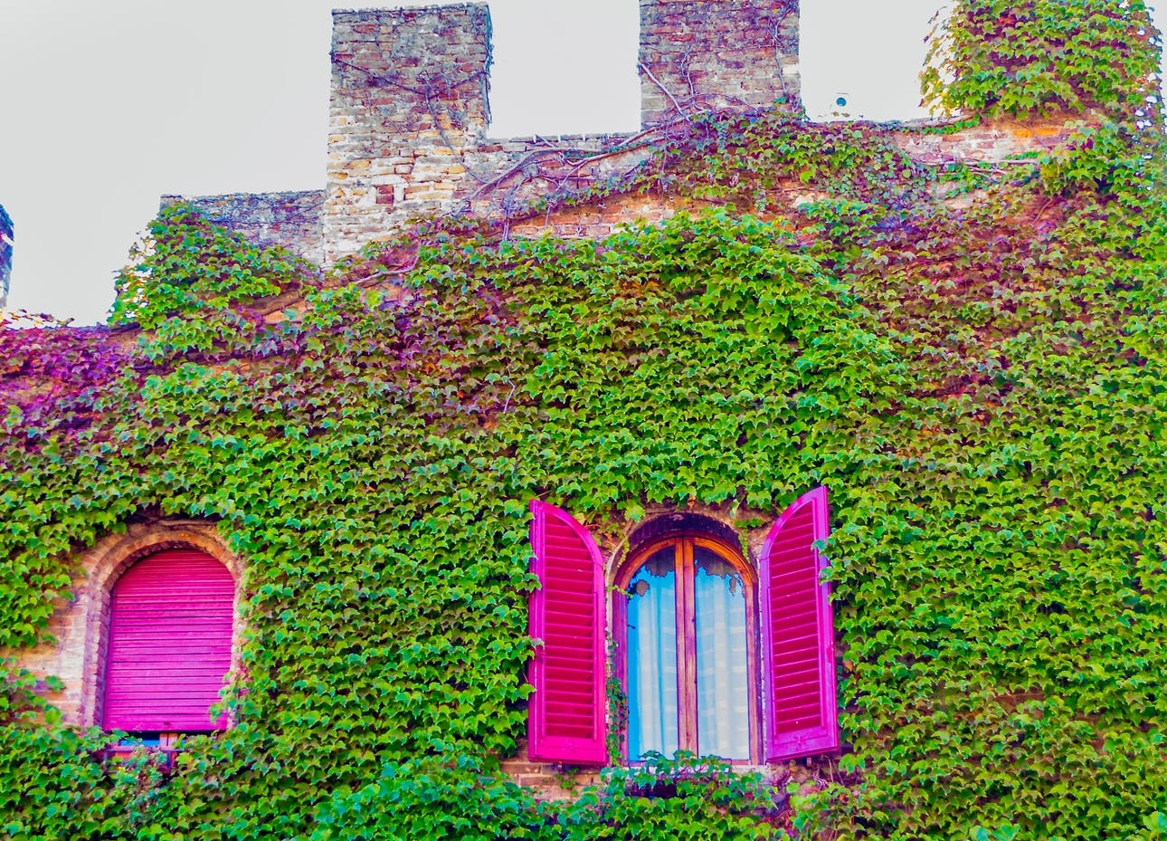 Gita di un giorno a San Gimignano, Siena e nel Chianti