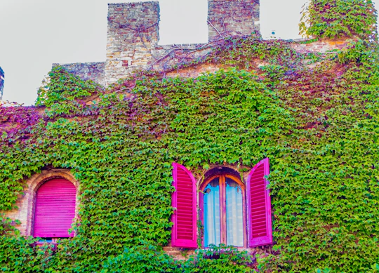 Medieval villages and cooking class day trip from Florence