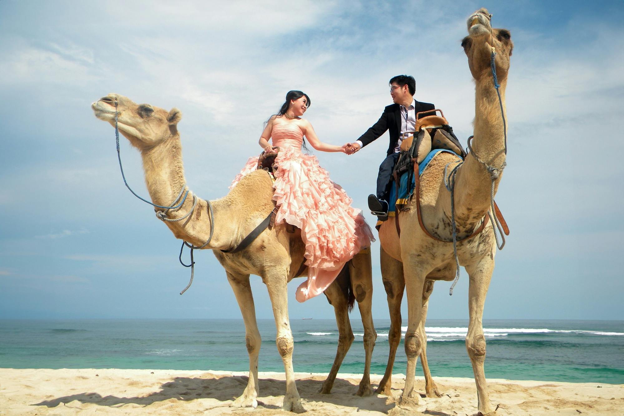 Camel Safari Riding