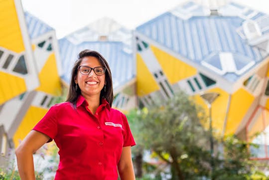 Grand Holland tour of Rotterdam, Delft and The Hague with Madurodam