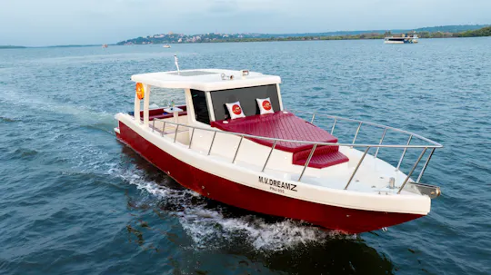 Crociera con yacht e osservazione dei delfini a Goa