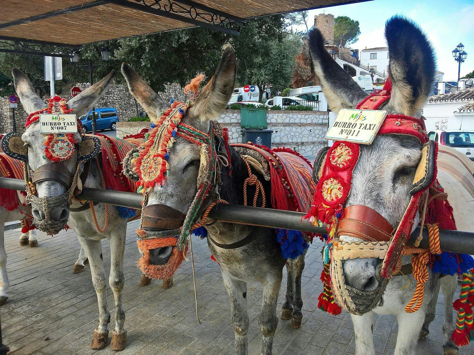 Fuengirola Market and Mijas tour
