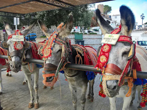 Fuengirola Market and Mijas tour