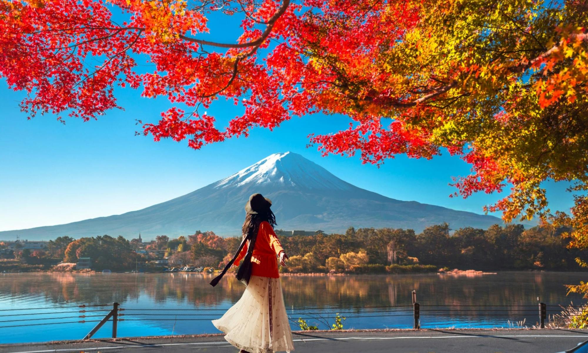 Day Trip to Mount Fuji with Scenic Photo Opportunities from Tokyo