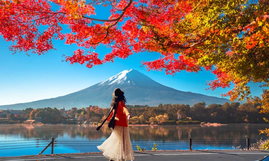 Day Trip to Mount Fuji with Scenic Photo Opportunities from Tokyo