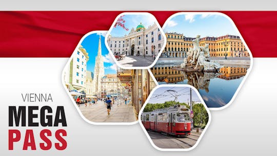 Vienna combo tickets with Schönbrunn, Sisi, transport and walking tour