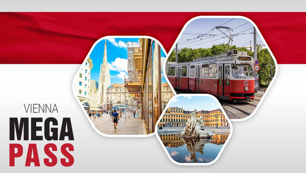 Biglietti combinati per Vienna con Schönbrunn, tour a piedi e trasporto