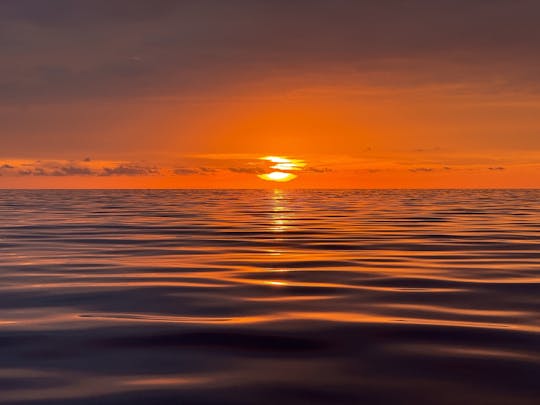 Gran Canaria dolphin watching sunset experience