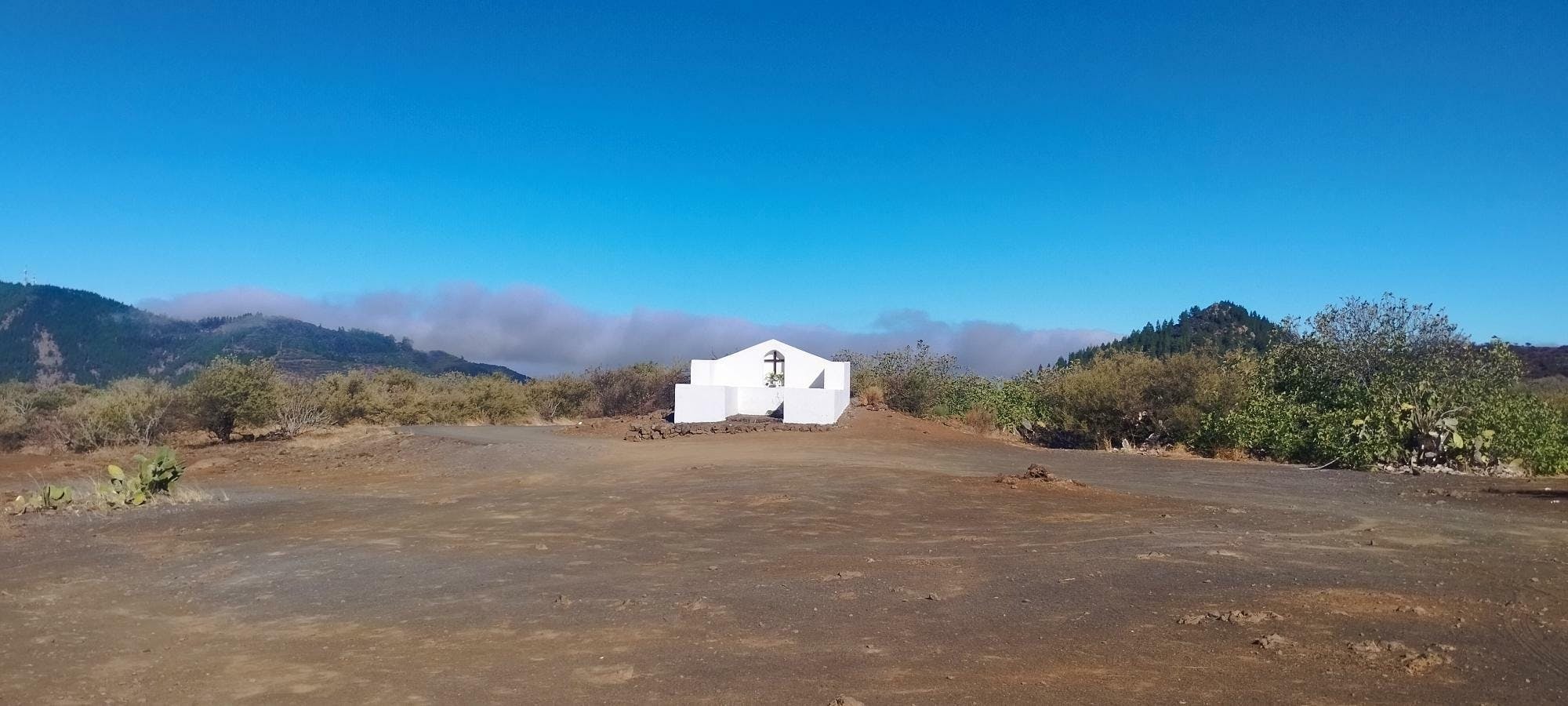 Almond blossom hiking tour in Tenerife with transfer