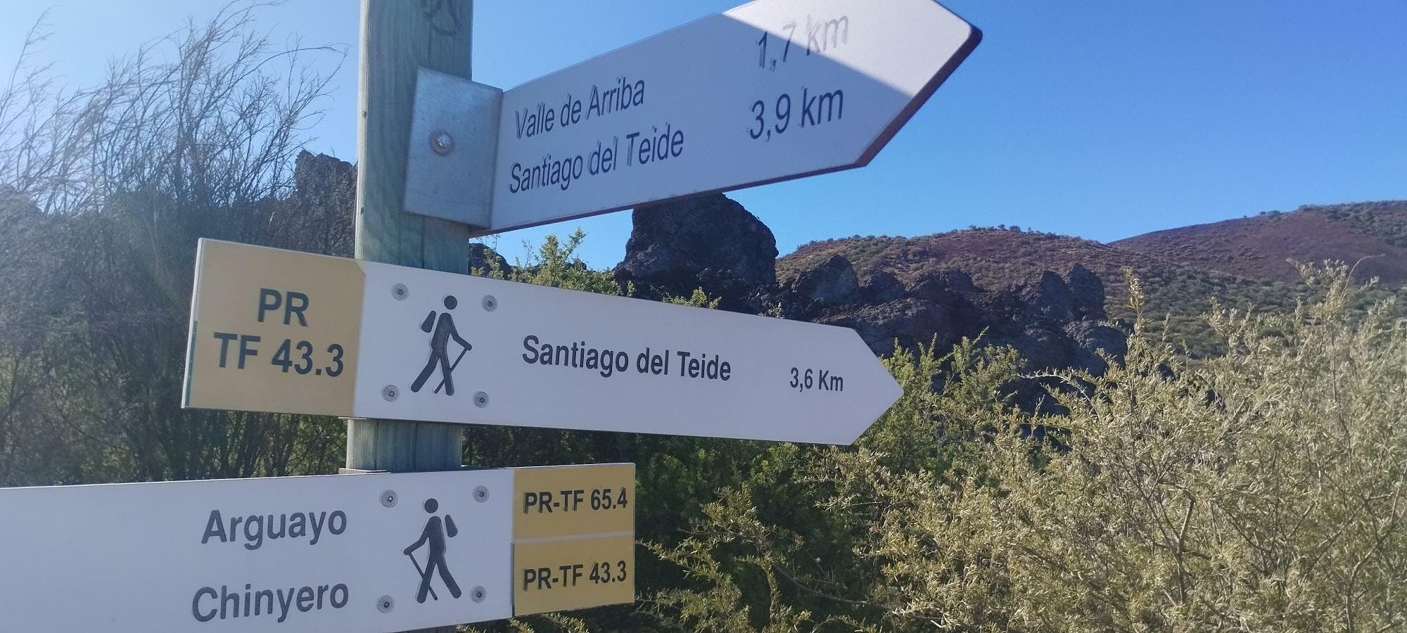 Almond blossom hiking tour in Tenerife with transfer