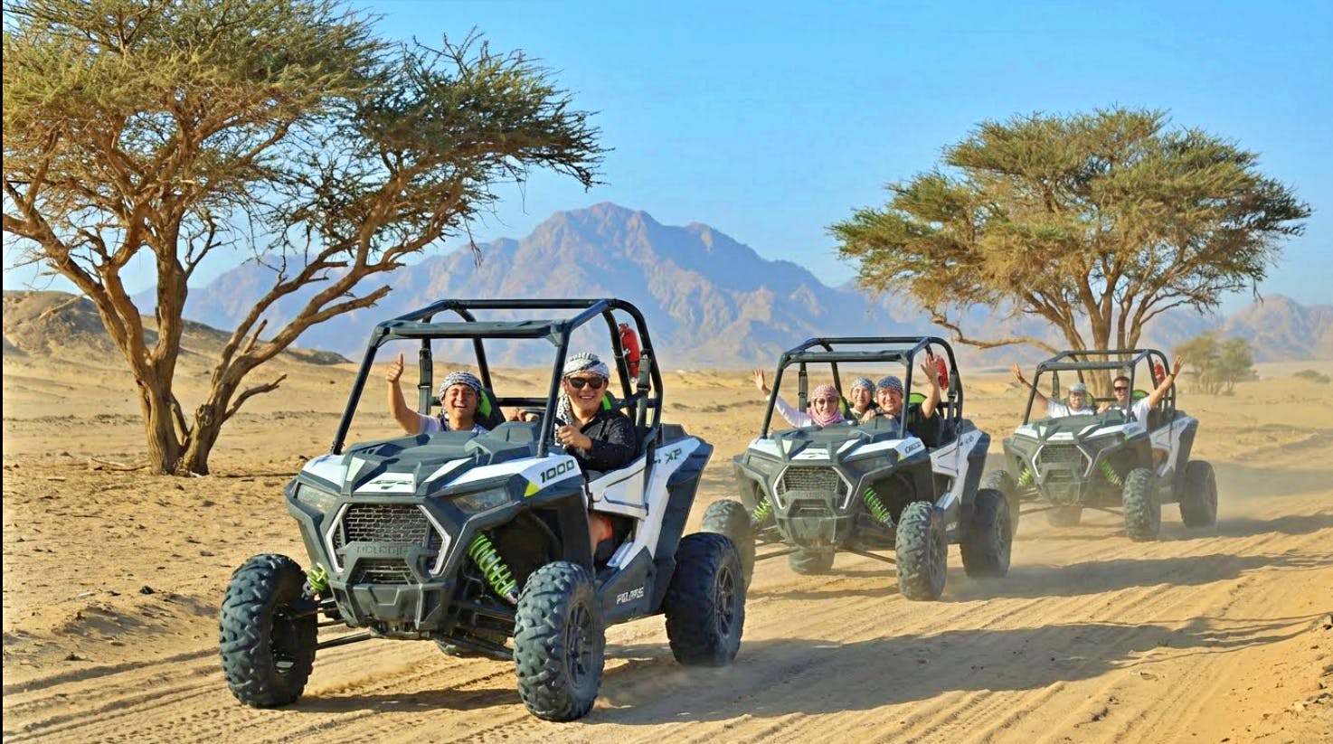 Excursion combinée en buggy dans le désert de Sharm, dîner bédouin, spectacle et observation des étoiles