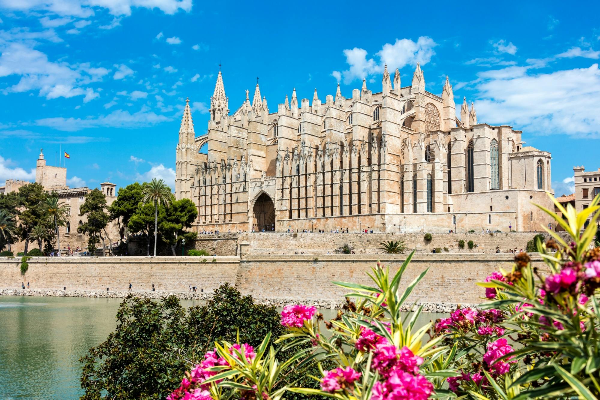 Entrance to Palma Cathedral La Seu
