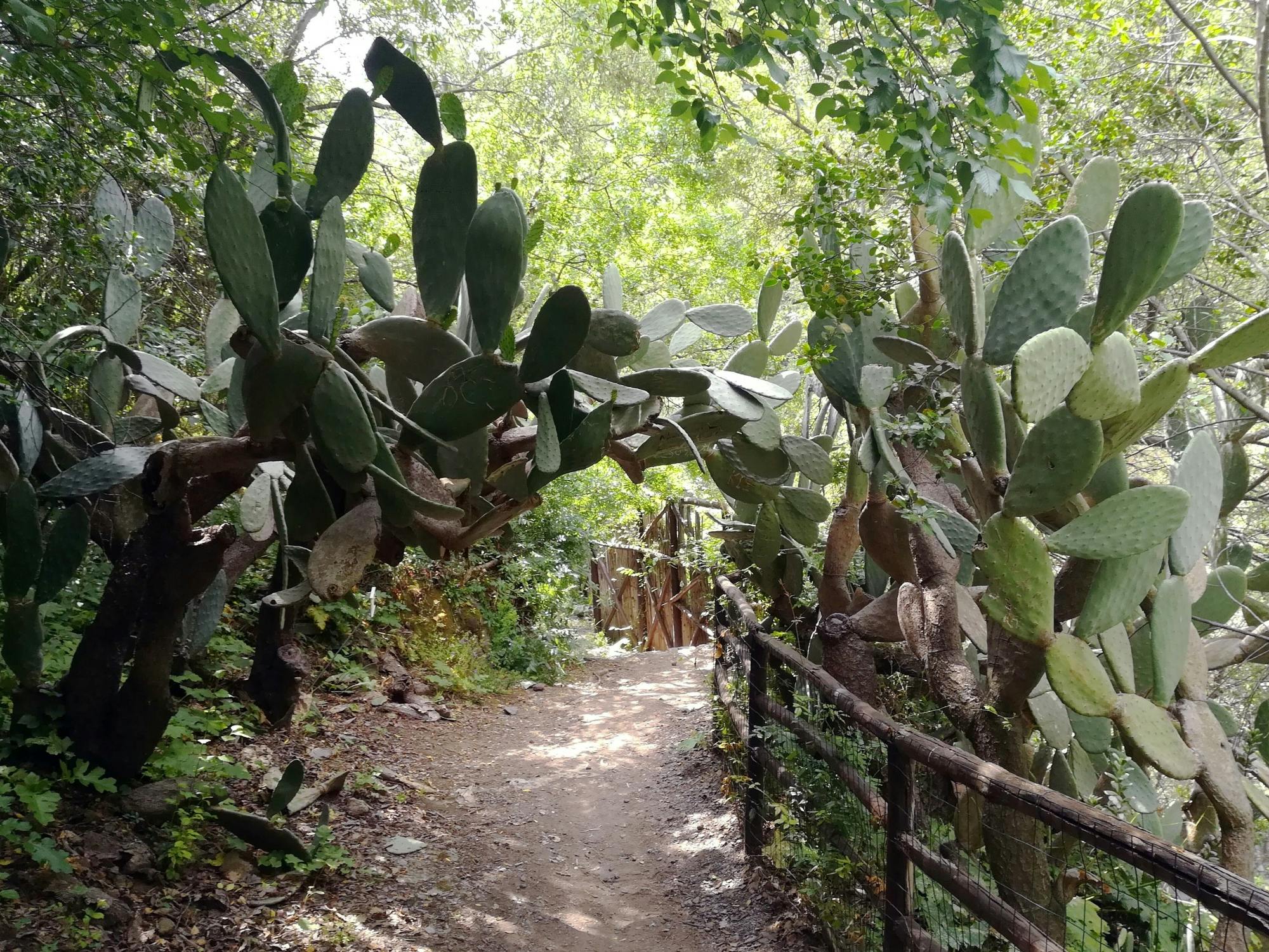 Full-day Randazzo and Alcantara Gorge tour from Taormina