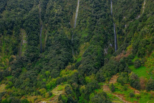Experiência autoguiada pela Levada do Alecrim e pela Lagoa do Vento