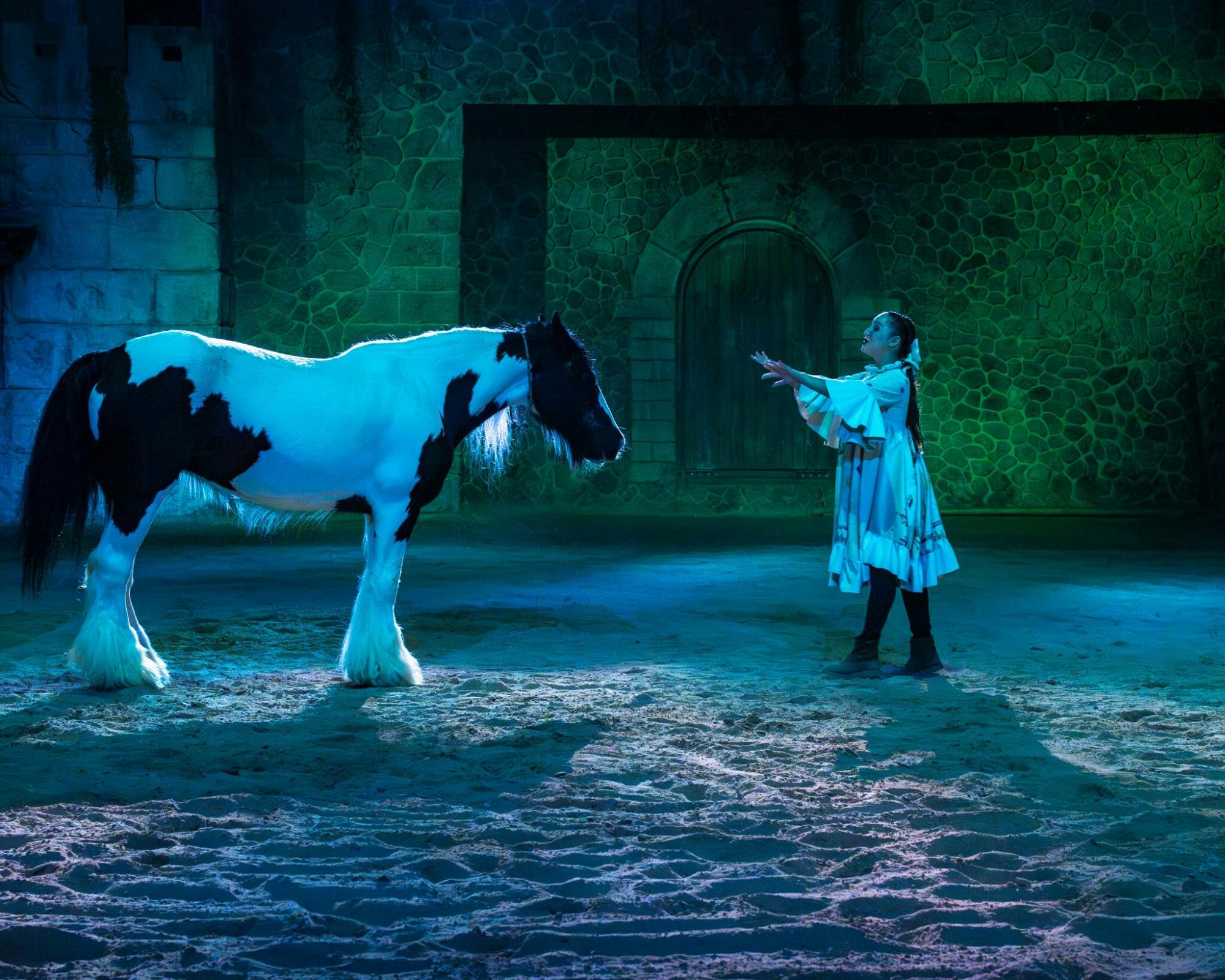 Dominican Republic Travesia Panaca World Show with evening fiesta