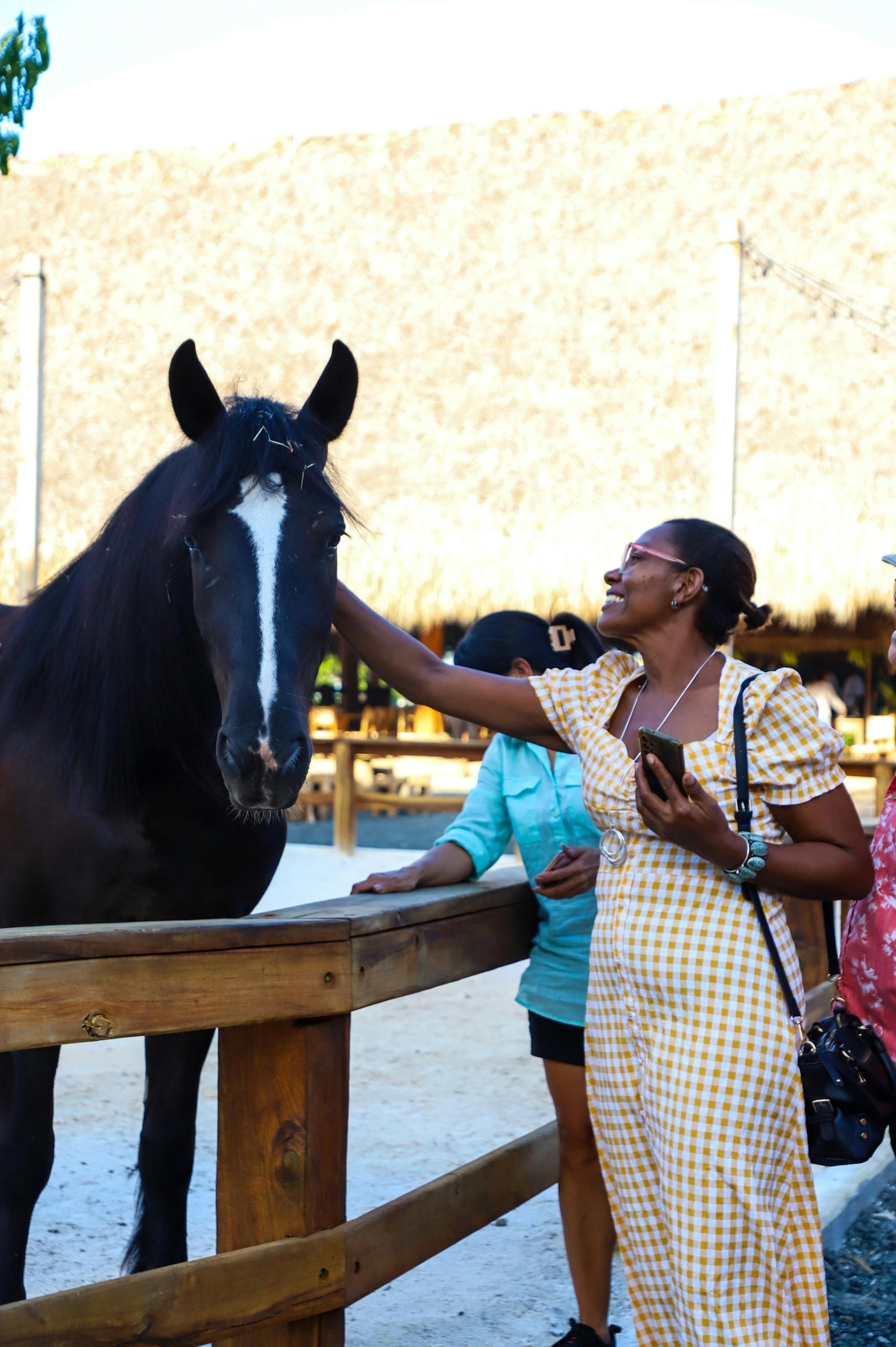 Dominican Republic Travesia Panaca World Show with evening fiesta