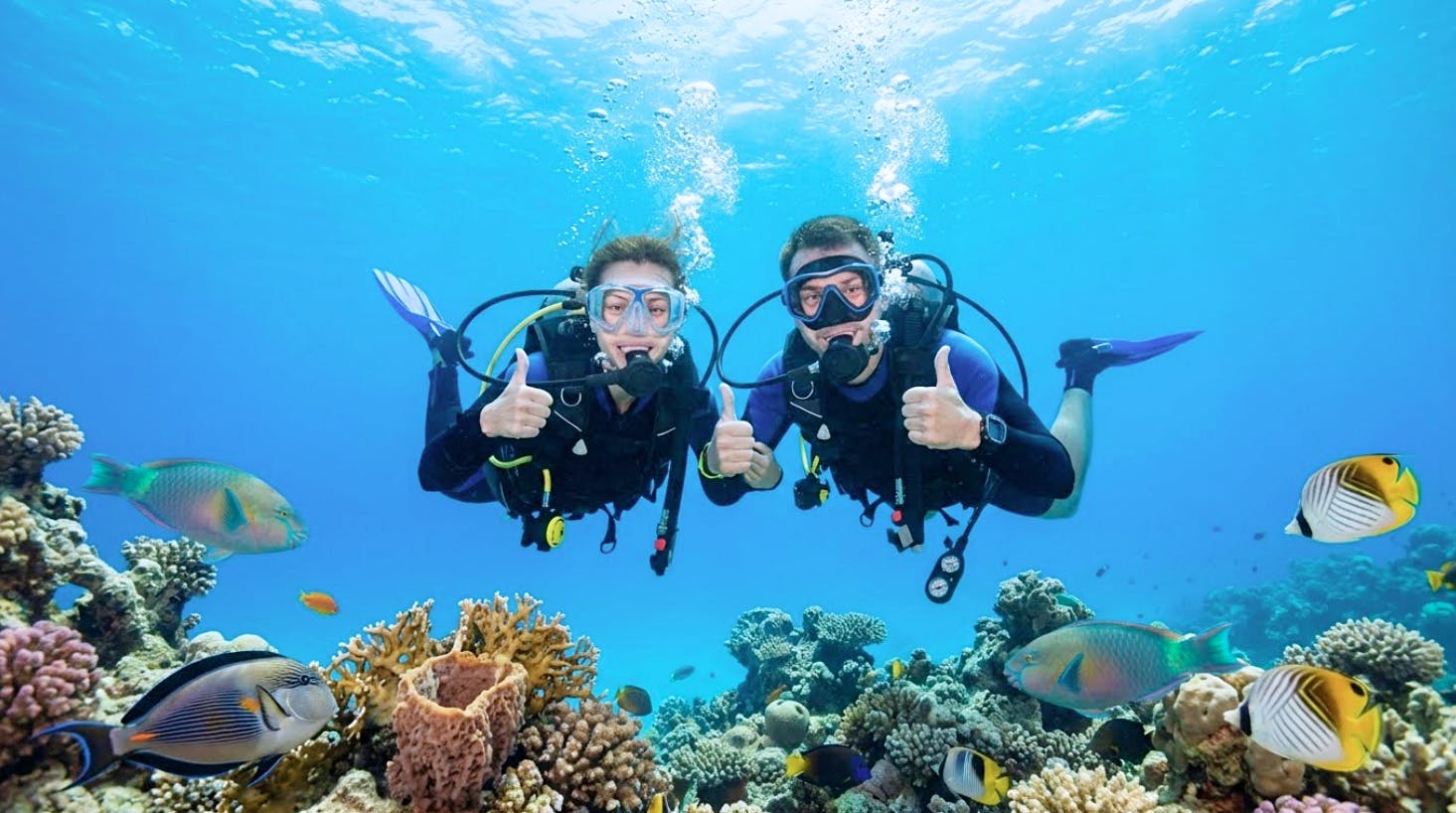 Intro diving for beginners and Red Sea cruise in Sharm El Sheikh